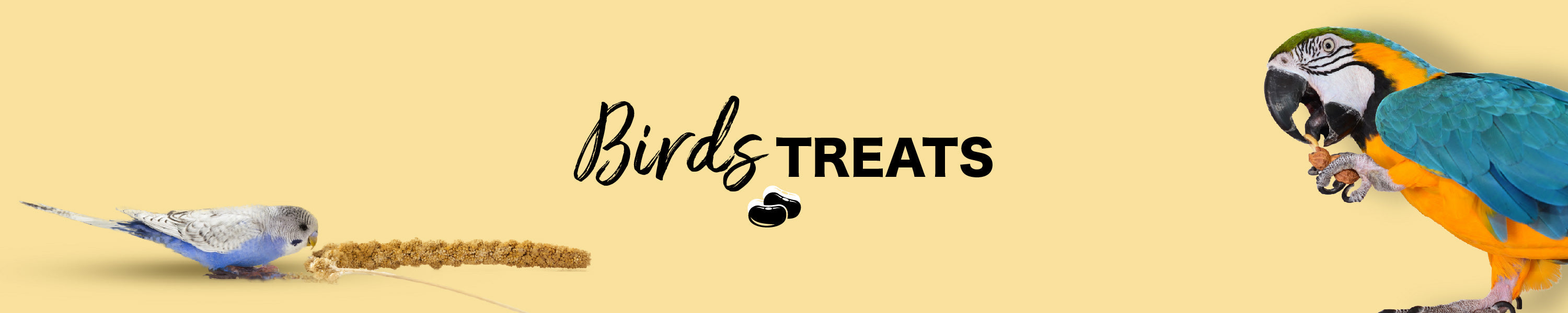 Bird Treats Orange Pet Nutrition