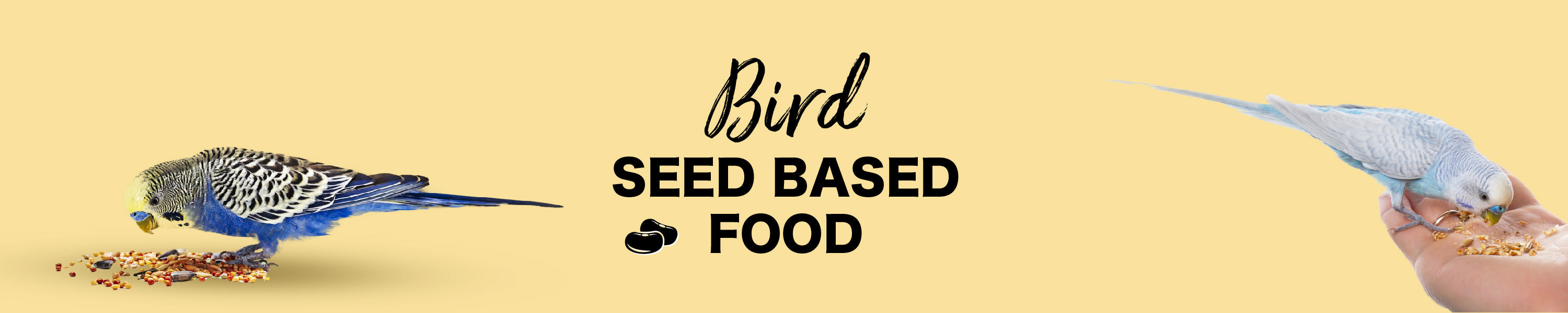 Seed Based Food Orange Pet Nutrition
