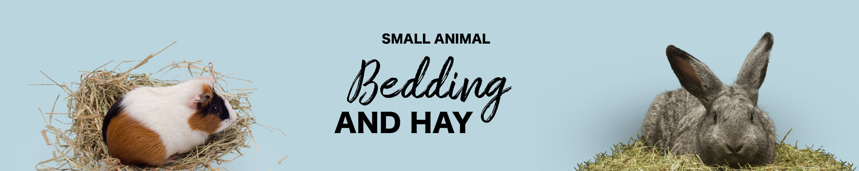 Small Animals Bedding and Hay Orange Pet Nutrition