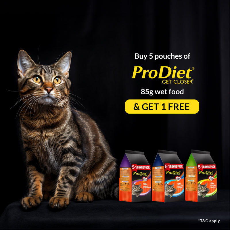 Prodiet Mackerel Wet Pouch Promo Pack of 5+1 (Buy 5 Mackerel Fish Wet Pouches & Get 1 Tuna Fish Wet Pouch Absolutely Free)
