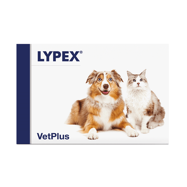 Vetplus Nutraceutical Supplement Lypex Capsules for Dog & Cat