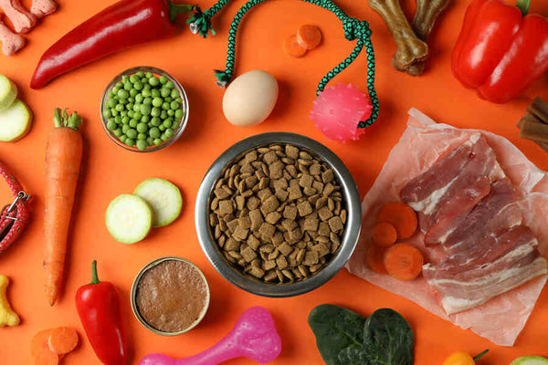 Why You Should Read Pet Food Ingredients Before Buying Pet Food