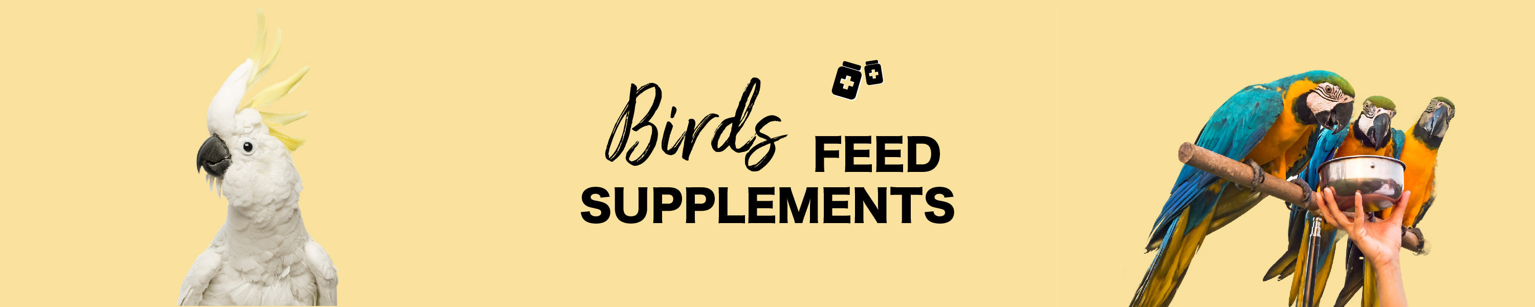Bird Feed Supplements Orange Pet Nutrition