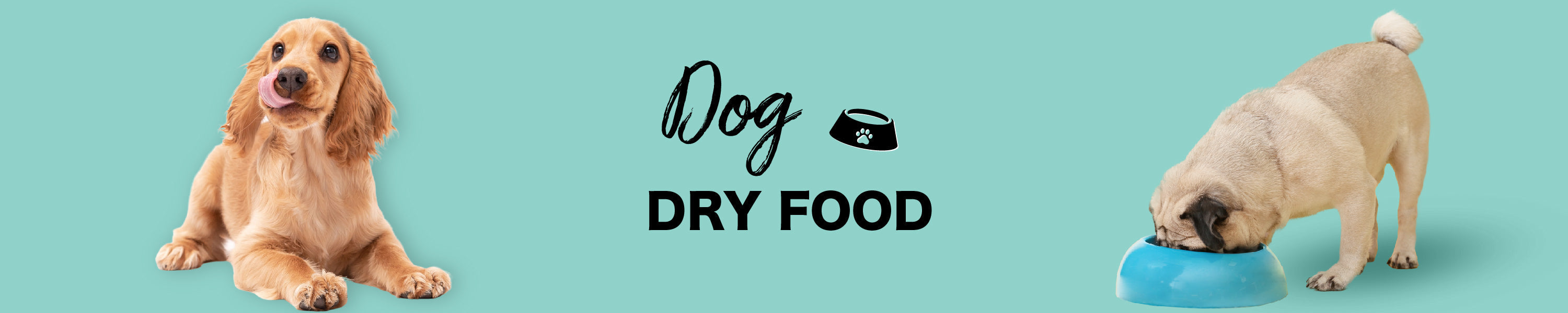 Dry Dog Food Orange Pet Nutrition