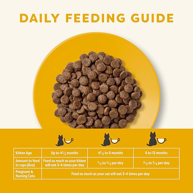 Age How Often Should You Feed Week Old Kittens Feeding Schedule
