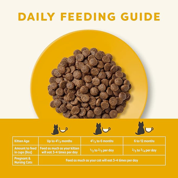 Age How Often To Feed Kittens Weeks Old Per Day What Food To Give