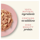 Applaws Cat Wet Food Tuna Fillet with Salmon in Broth 70g Pouch