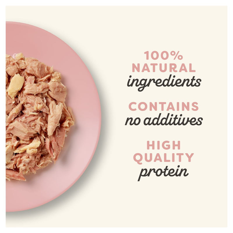 Applaws Cat Wet Food Tuna Fillet with Salmon in Broth 70g Pouch