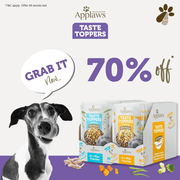 Applaws Wet Dog Food White Fish With Salmon Green Beans & Lentils Pouch