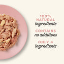 Applaws Cat Wet Food Tin Tuna Fillet with Salmon in Broth 70 gm
