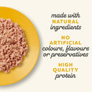 Applaws Cat Wet Food Kitten Chicken Breast in Broth