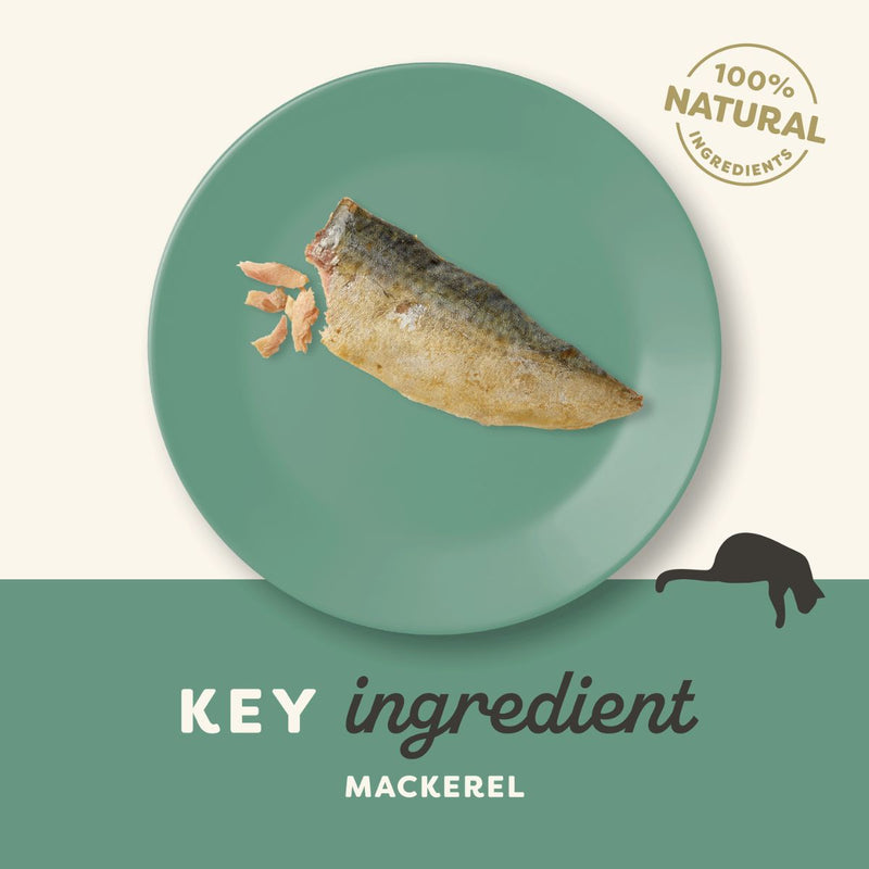 Applaws Cat Wet Complementary Pet Treat Food with Mackerel Loin 30g