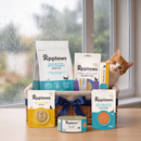 Applaws Cat Wet Food Monsoon Comfort Bundle for Cats