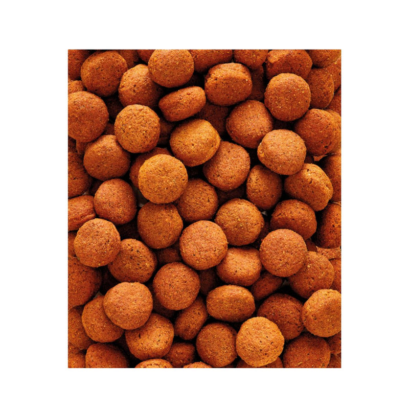 Versele Laga Nutribird Pellets H16 Original Birds Food