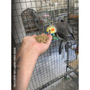 Harrison’s Organic Premium Pellets 454g | Complete Organic Nutrition for Small to Medium Birds