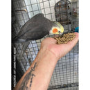 Harrison’s Organic Premium Pellets 454g | Complete Organic Nutrition for Small to Medium Birds
