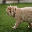 IndieGood Handloom Collar For Cats - Beach Brown