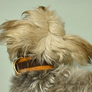 IndieGood Skin Friendly Corduroy Dog Collar - Brown