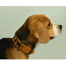IndieGood Skin Friendly Corduroy Dog Collar - Brown