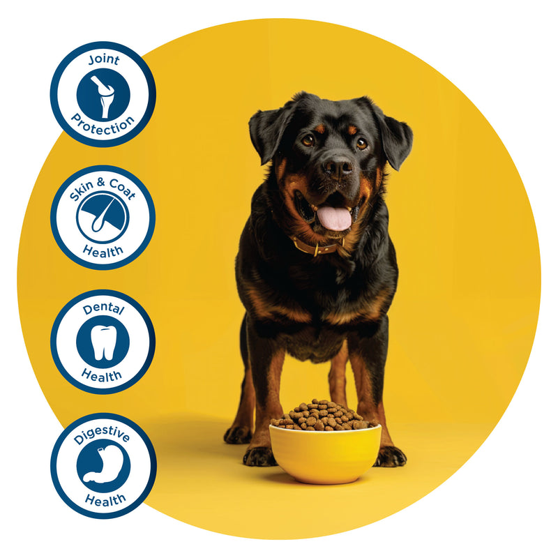 Fidele+ Dry Dog Food Adult Large Breed