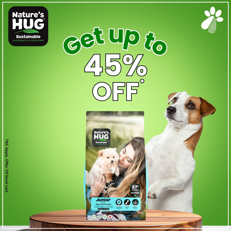 Nature'S Hug Dry Dog Food Adult Toy & Small Maintaince