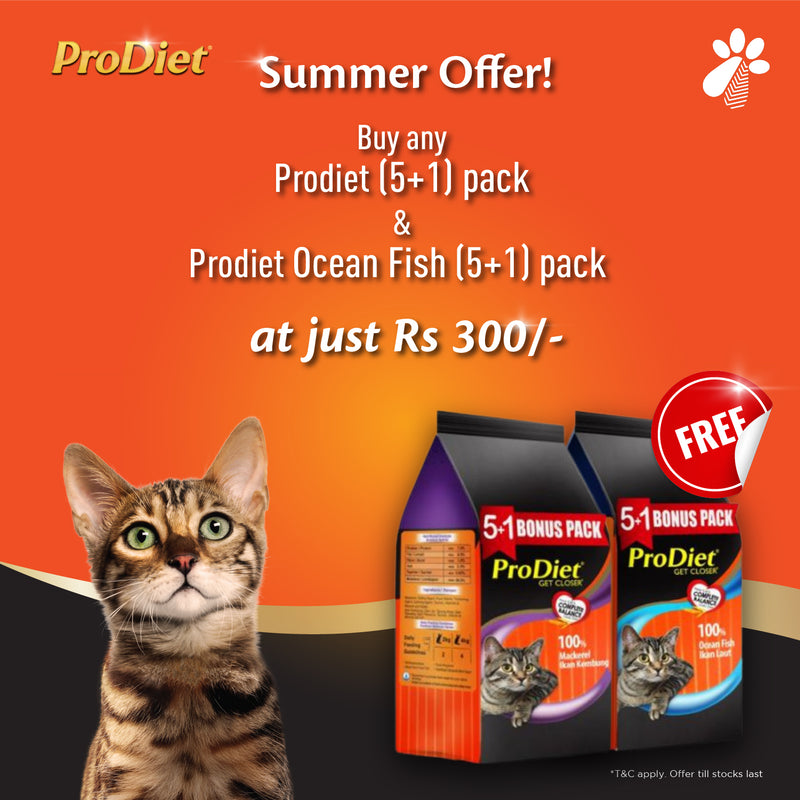 "Double Delight: Buy 1, Get 1 Free!" Buy ProDiet Mackerel (5+1) Pack & Get Ocean Fish (5+1) Pack FREE !!