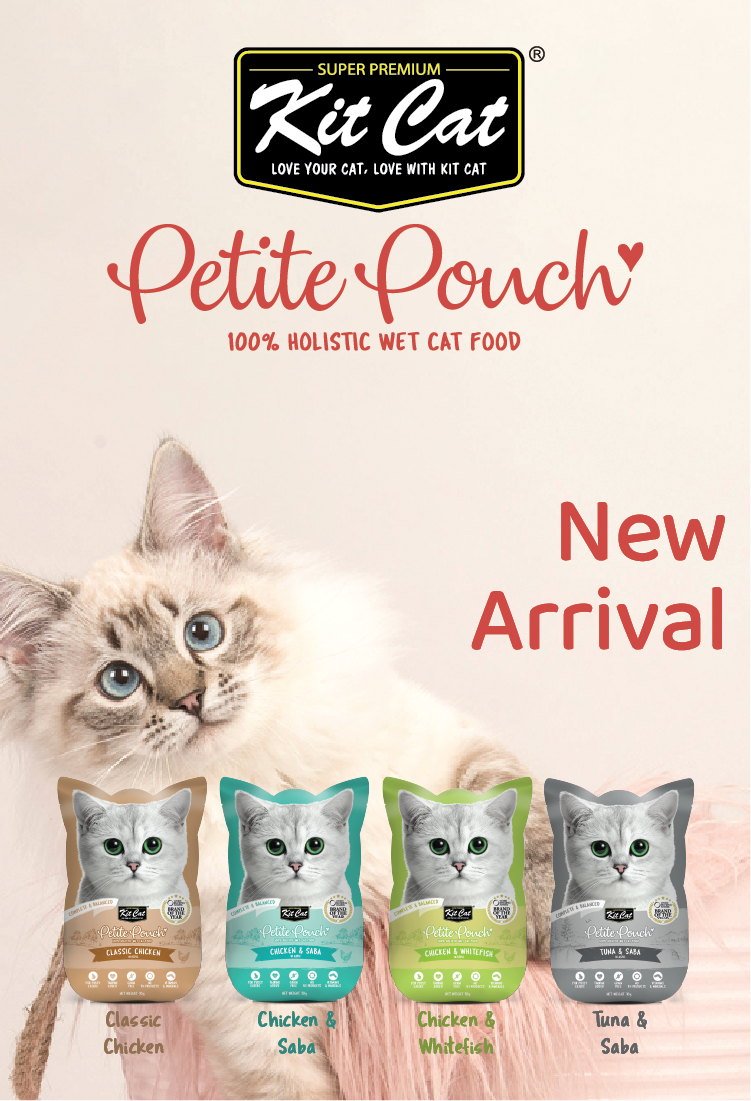 Orange pet nutrition outlet