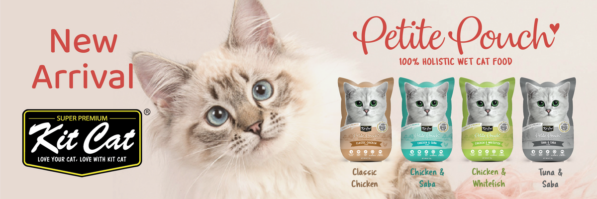 Orange Pet Nutrition India s Leading Importer of Premium Pet Food
