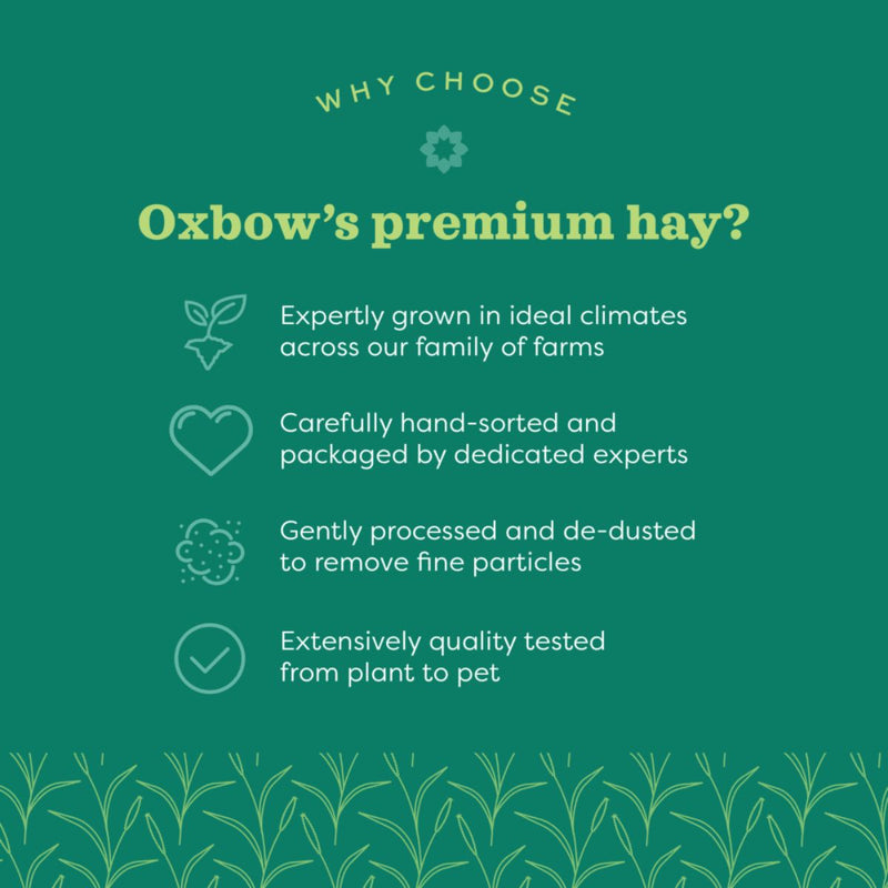 OXBOW Orchard Grass Hay 0.425 gm