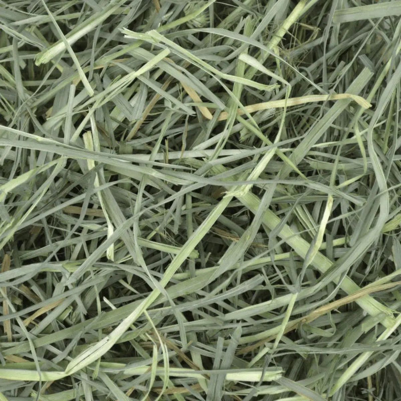 OXBOW Orchard Grass Hay 0.425 gm