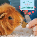 Oxbow Simple Rewards Veggie Baked Treats for Rabbits, Guinea Pigs & Small Pets – 85g