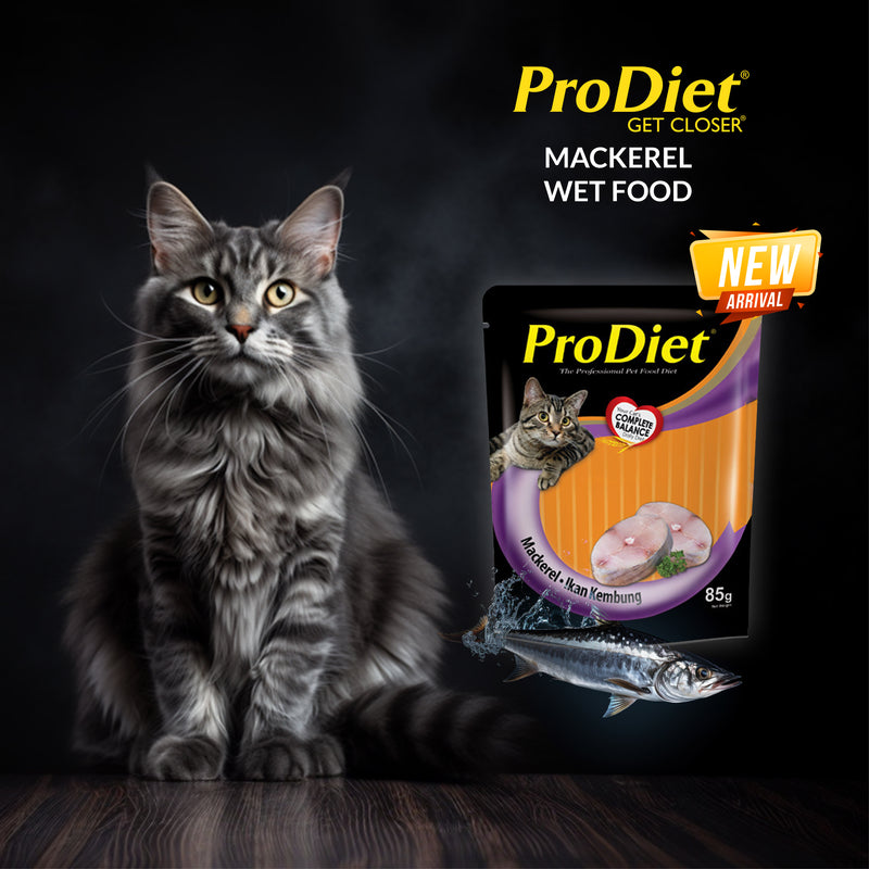 "Double Delight: Buy 1, Get 1 Free!" Buy ProDiet Mackerel (5+1) Pack & Get Ocean Fish (5+1) Pack FREE !!