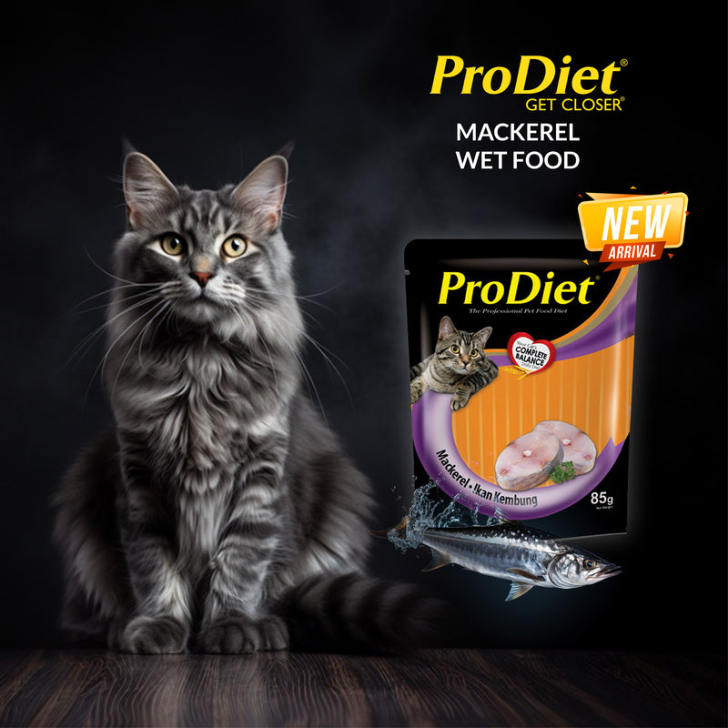 Prodiet Mackerel Wet Pouch Promo Pack of 5+1 (Buy 5 Mackerel Fish Wet Pouches & Get 1 Tuna Fish Wet Pouch Absolutely Free)