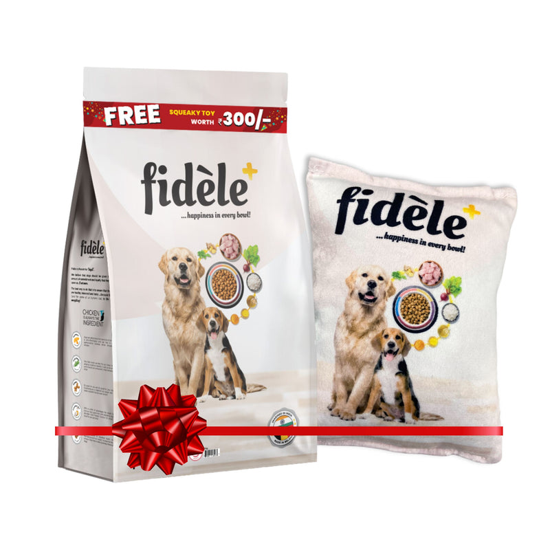 Fidele+ Dry Dog Food Starter Puppy