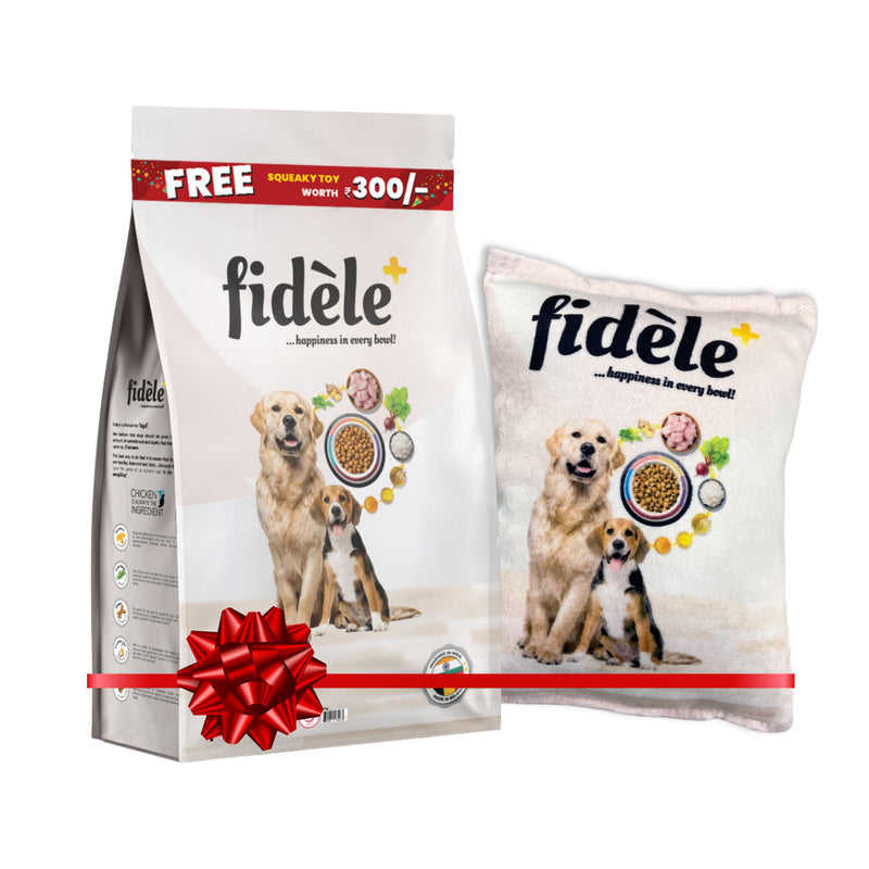 Fidele+ Dry Dog Food Large Breed Puppy