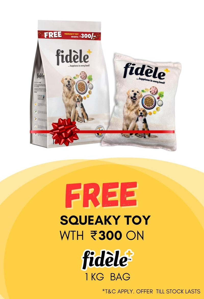 Pet food clearance near me now