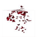 Tetra Betta Premium Complete Food for Betta & Labyrinth Fish Enhances Colour & Fin Growth Rich in Krill & Shrimps High Protein for Vitality 27 Gram/100ml