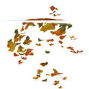 Tetra Rubin Flakes | Colour-Enhancing Complete Food for Ornamental Fish | Boosts Red, Orange & Yellow Tones | Supports Growth, Digestion & Immunity 52 Gram