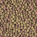 Tetra TabiMin- Complete Sinking Food Tablets for Bottom-Feeding & Timid Fish with Shrimp for Growth, Health & Vibrant Colors- 36g, 120 Tablets