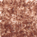 Tetra FreshDelica Brine Shrimps- Nutrient-Rich Gel Treat for All Ornamental Fish with Natural Aquatic Animals & Essential Vitamins 48 Gram