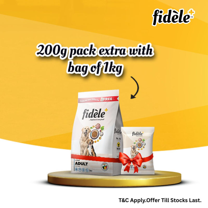 Fidele+ Dry Dog Food Small & Medium Puppy
