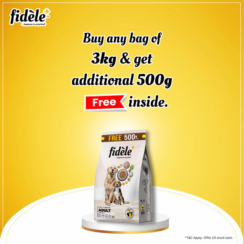 Fidele+ Dry Dog Food Starter Puppy