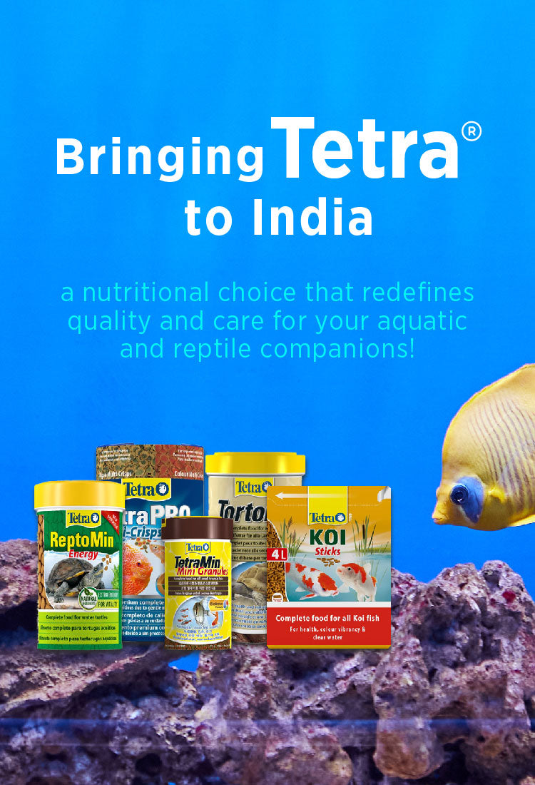 Orange Pet Nutrition India's Leading Importer of Premium Pet Food