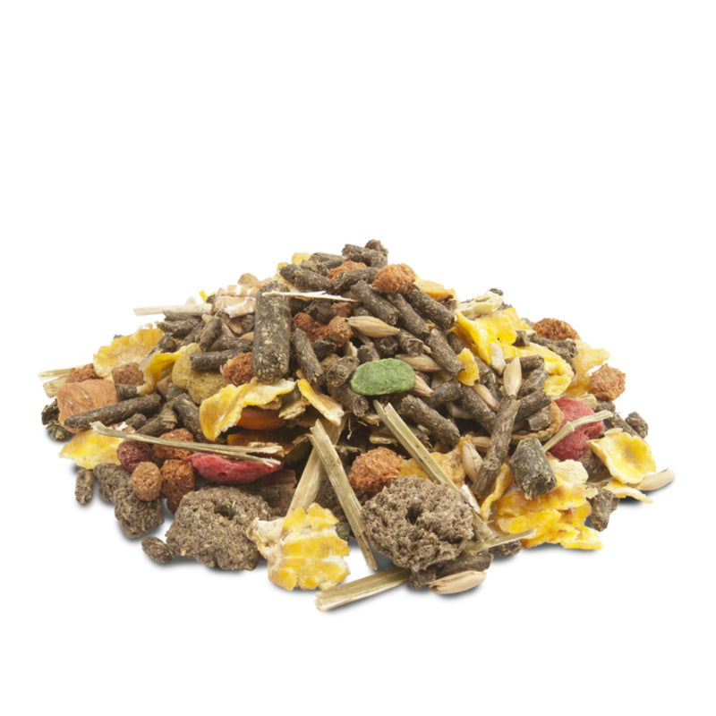 Versele Laga Small Animal Feed Crispy Muesli Guinea Pigs