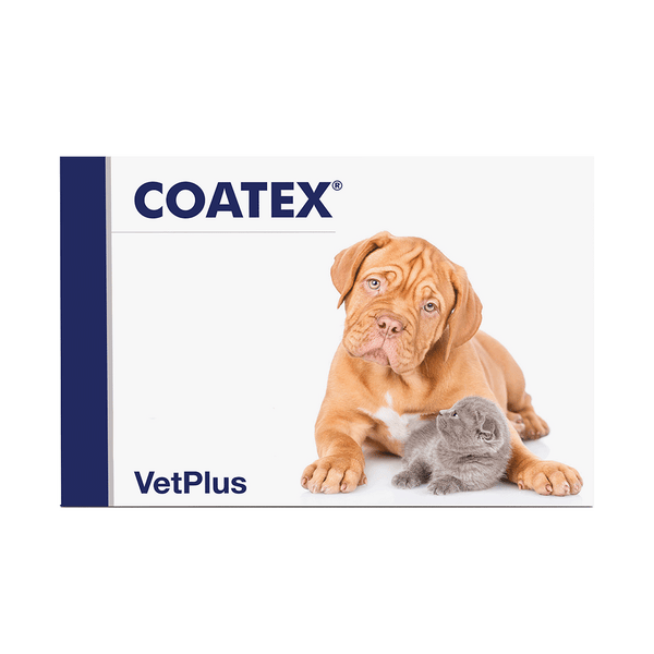 Vetplus Nutraceutical Supplement Coatex Blister for Dog & Cat