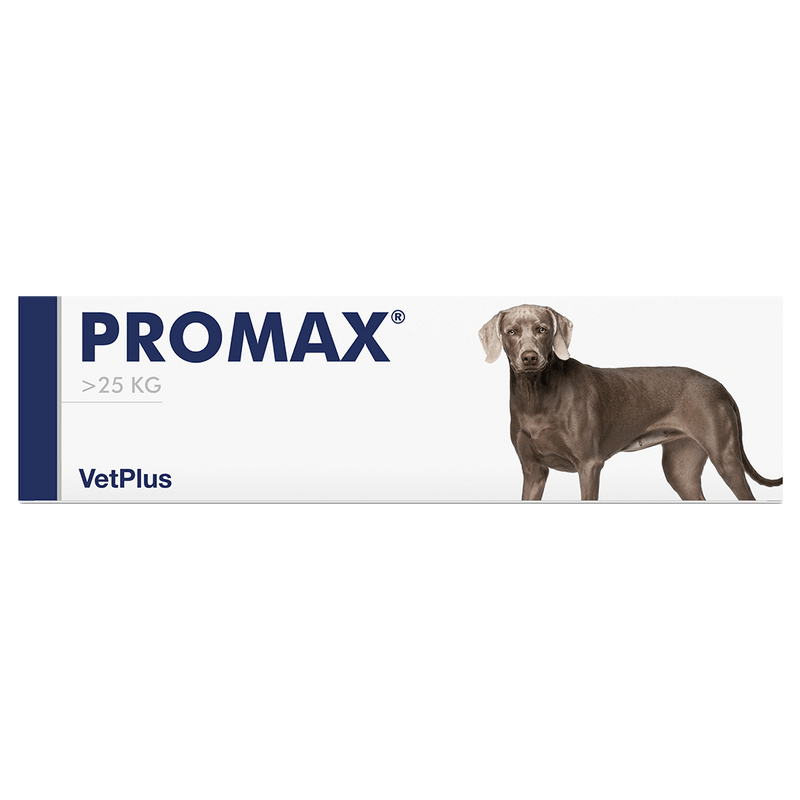 Vetplus Nutraceutical Supplement Promax for Dog