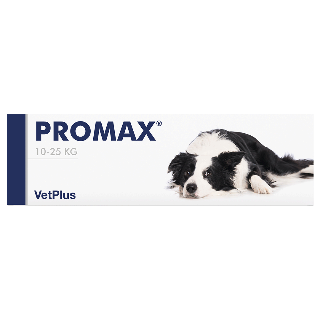 Vetplus Nutraceutical Supplement Promax for Dog