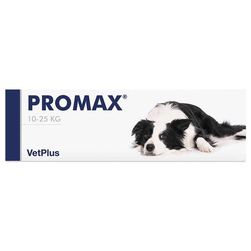 Vetplus Nutraceutical Supplement Promax for Dog