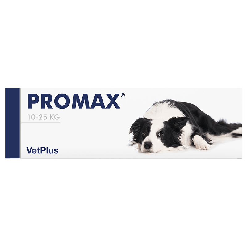 Promax Plus Vetplus Nutraceutical Supplement Promax for Dog