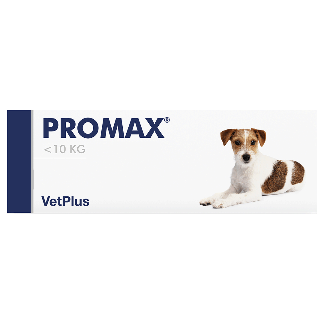 Promax Plus Vetplus Nutraceutical Supplement Promax for Dog